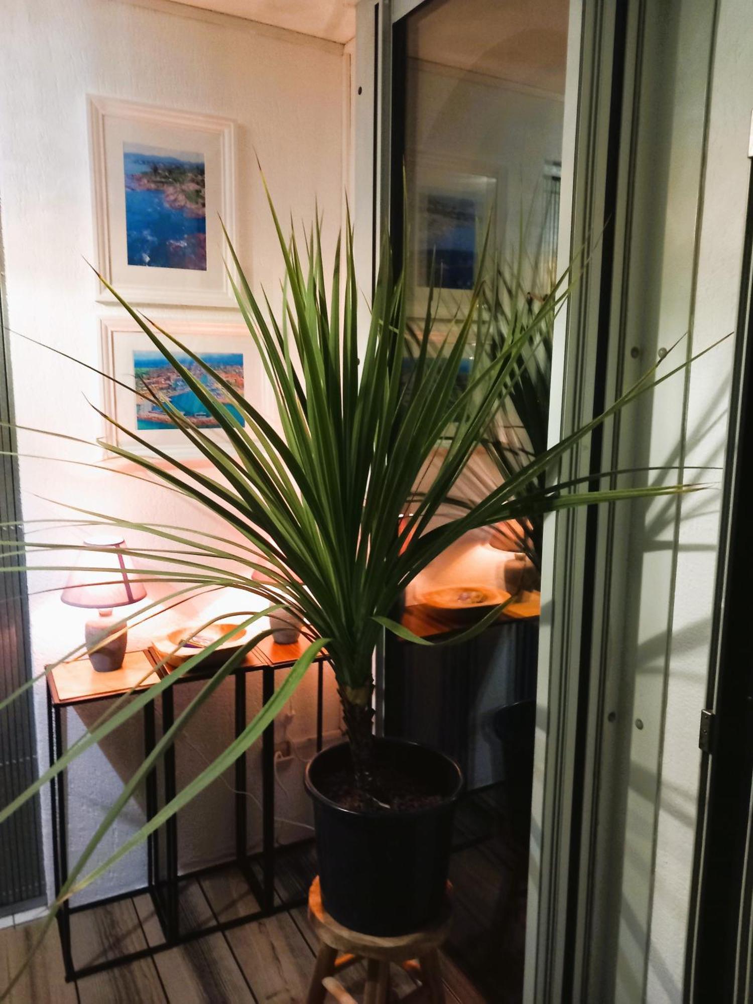 Appartamento Soleil De Au Lagonbleu Fréjus