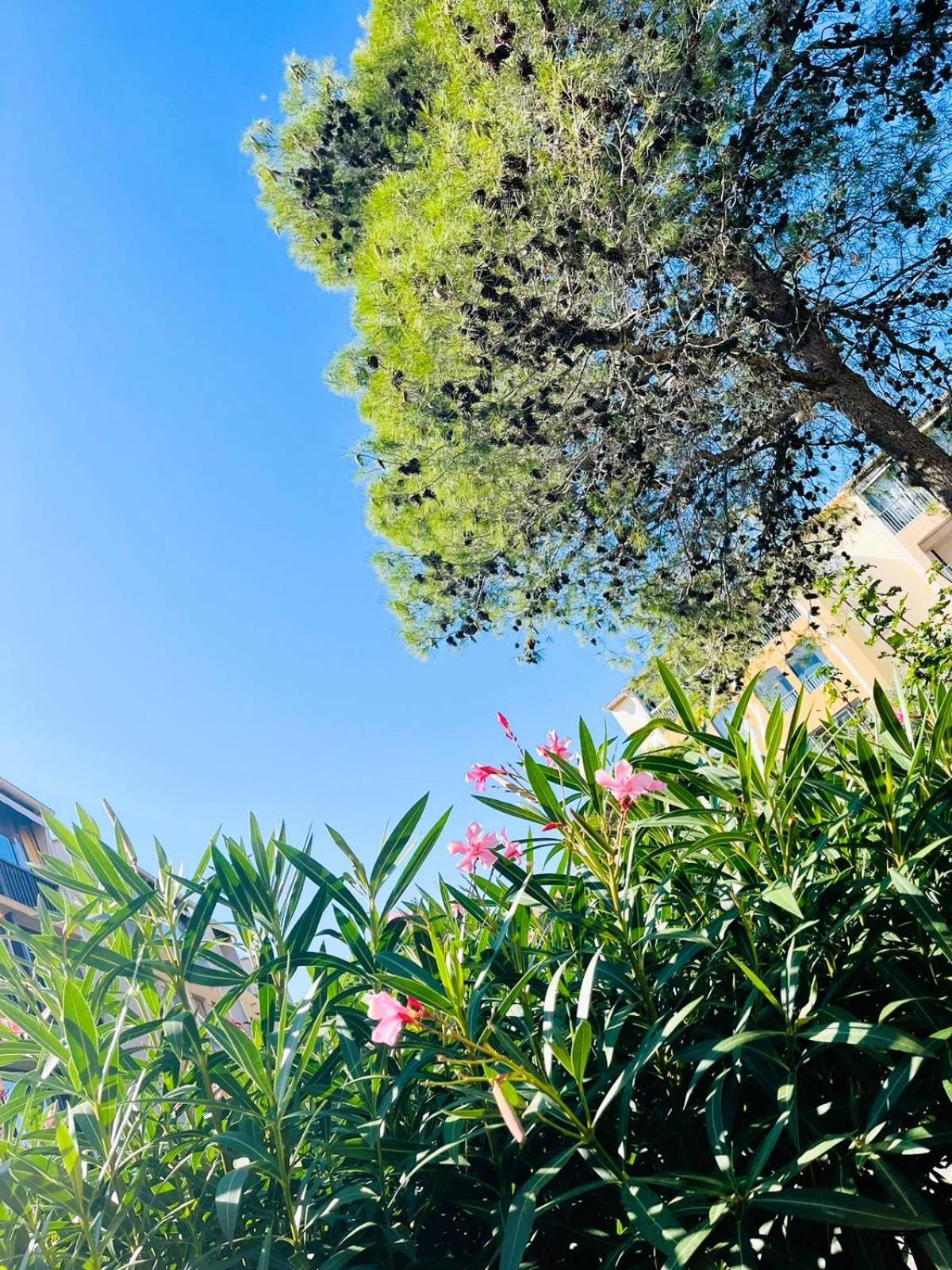 Soleil De Au Lagonbleu * Fréjus